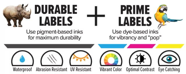 Afinia Dye vs Pigment Tinten